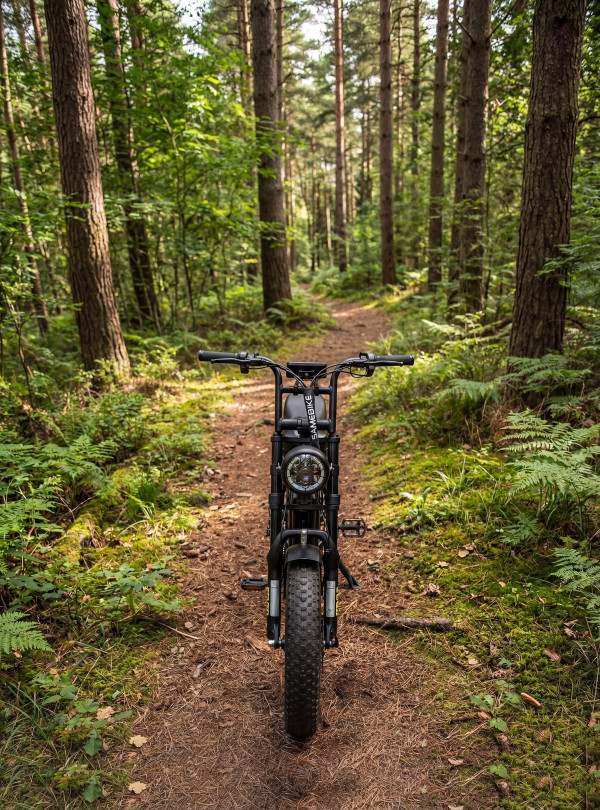 <b>SAMEBIKE</b> • Электровелосипед M20-III 2000W 36Ah электрофетбайк с большим запасом хода Черный